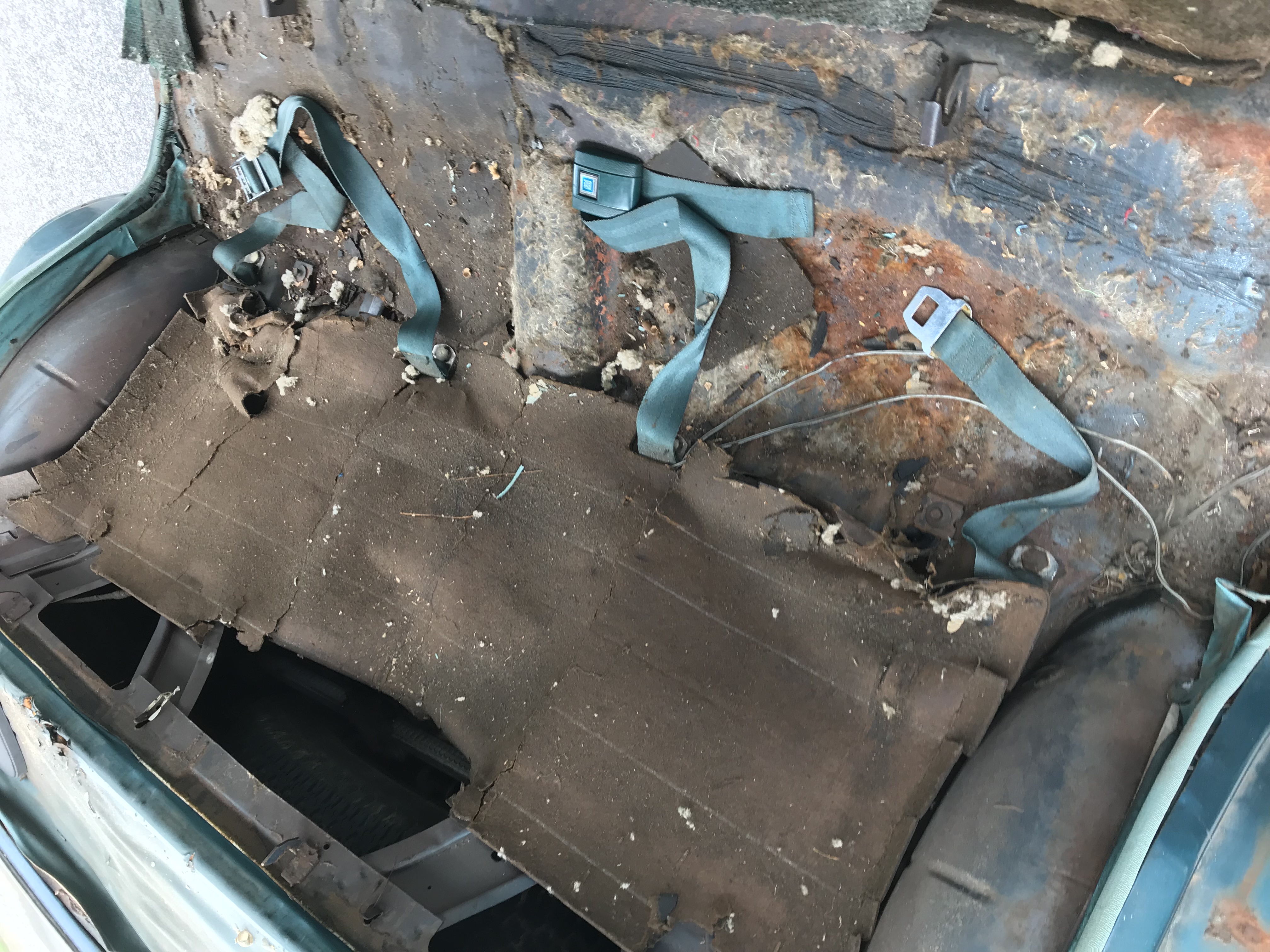 rear seat area, no bench seat